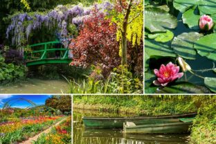 Lo straordinario giardino di Claude Monet a Giverny
